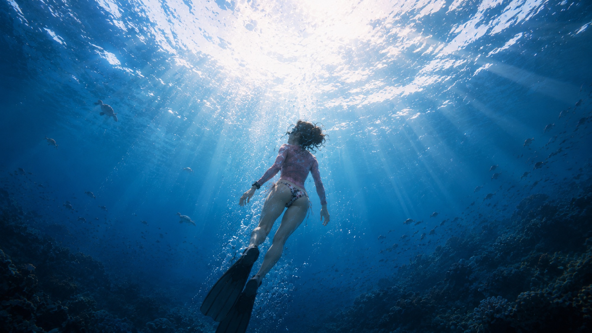 Blue Horizon — Moon Lagoon